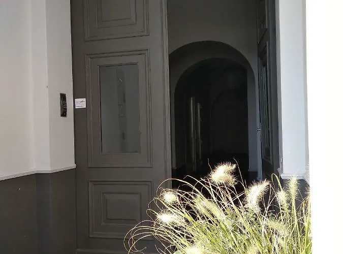 Orla Στσέτσιν